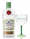 Gin Tanqueray Rangpur 700 ml + Taça
