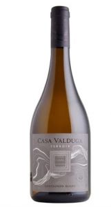 Vinho Casa Valduga Sauvignon Blanc Terroir 750ml